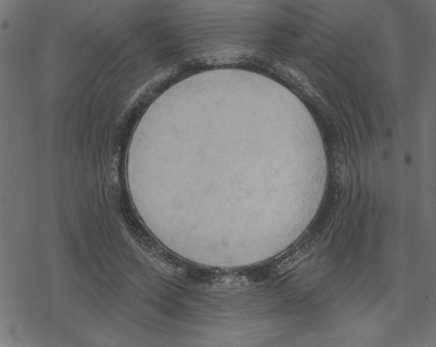 X0000078230543200612011542