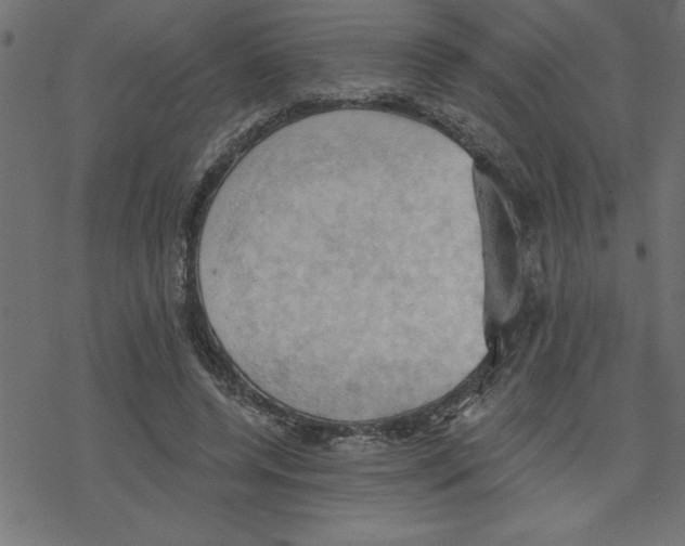 X0000078230544200612011542