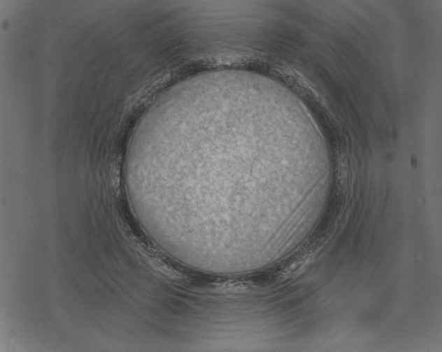 X0000078230545200612011542