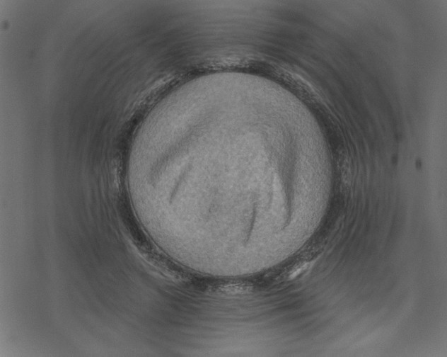 X0000078230546200612011542