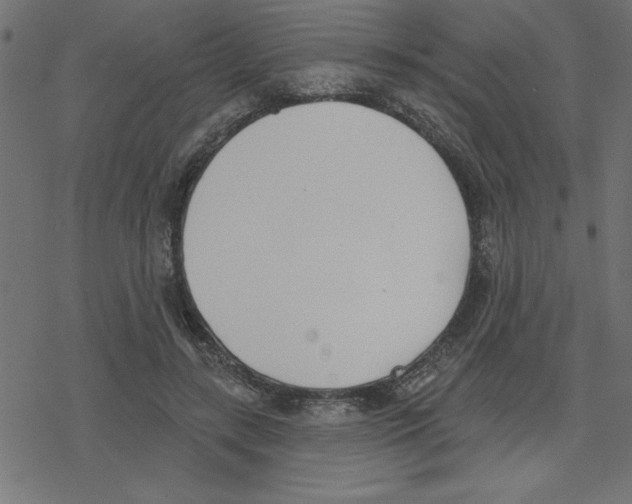 X0000078230547200612011542