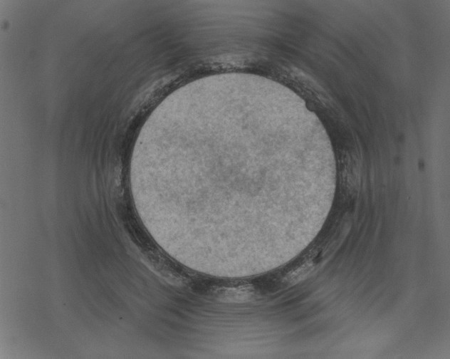 X0000078230548200612011542