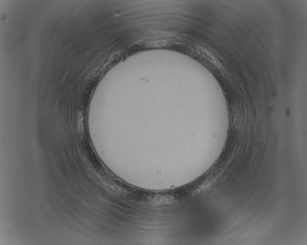 X0000078230549200612011542