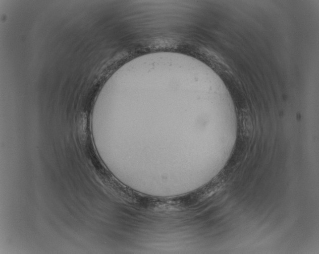 X0000078230550200612011542