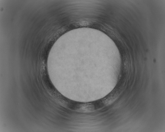 X0000078230555200612011542