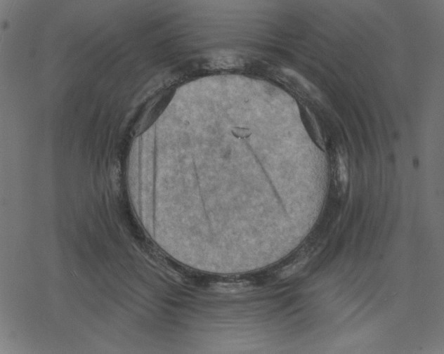 X0000078230556200612011542