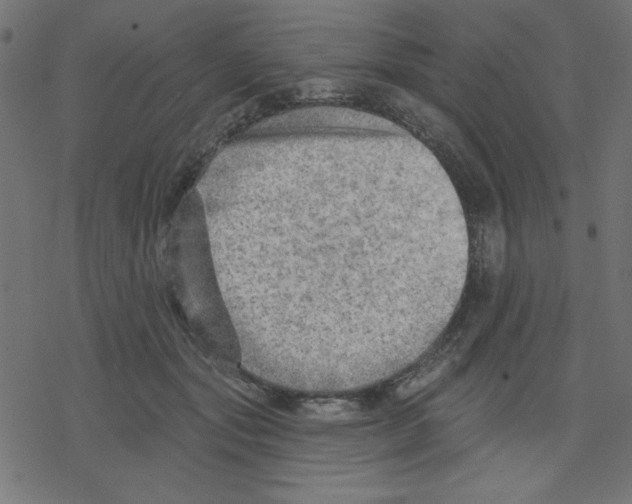 X0000078230557200612011542