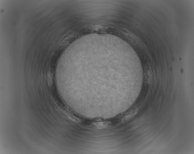 X0000078230558200612011542