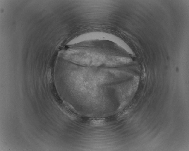 X0000078230560200612011542