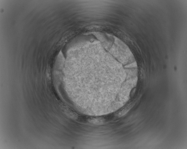 X0000078230561200612011542