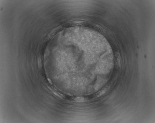 X0000078230562200612011542