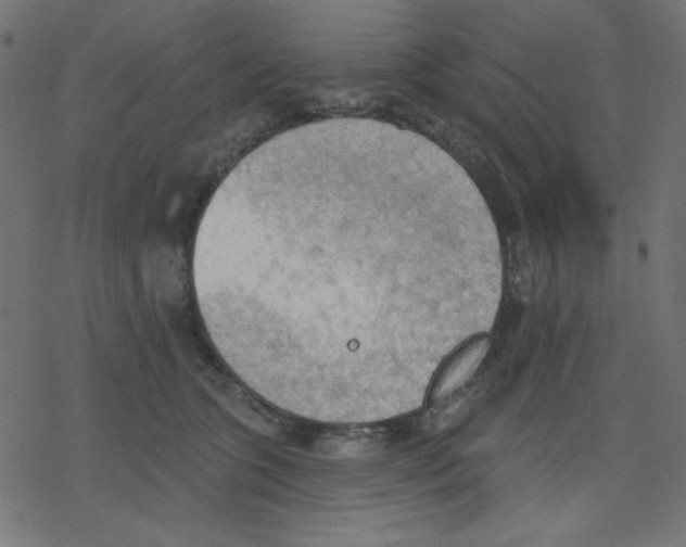 X0000078230563200612011542