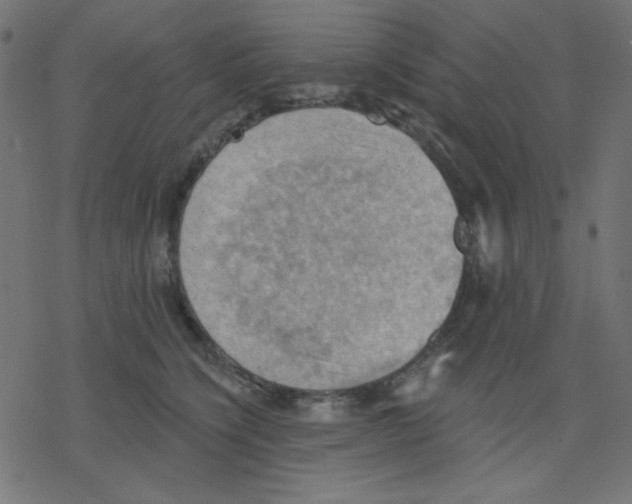 X0000078230564200612011542