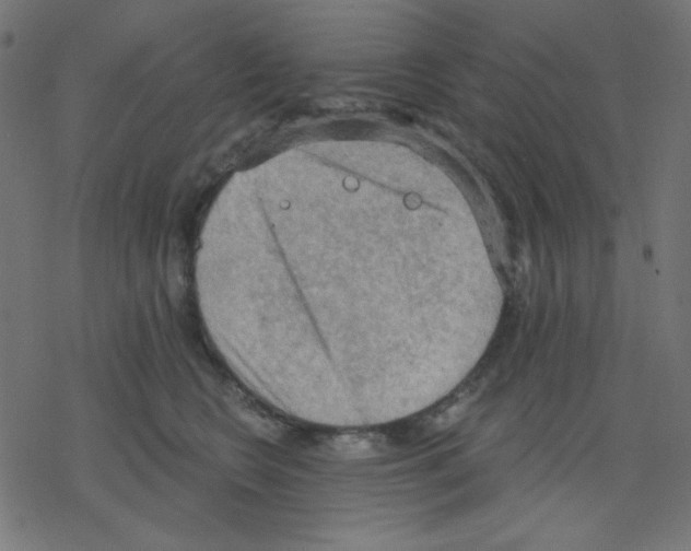 X0000078230566200612011542