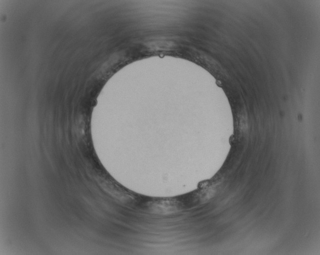 X0000078230567200612011542