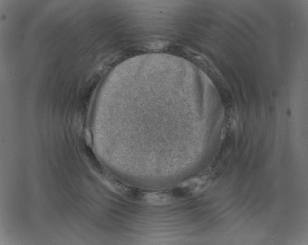 X0000078230568200612011543