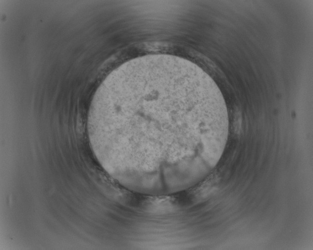 X0000078230569200612011543