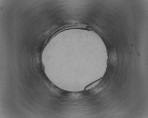 X0000078230570200612011543