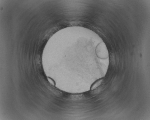 X0000078230571200612011543