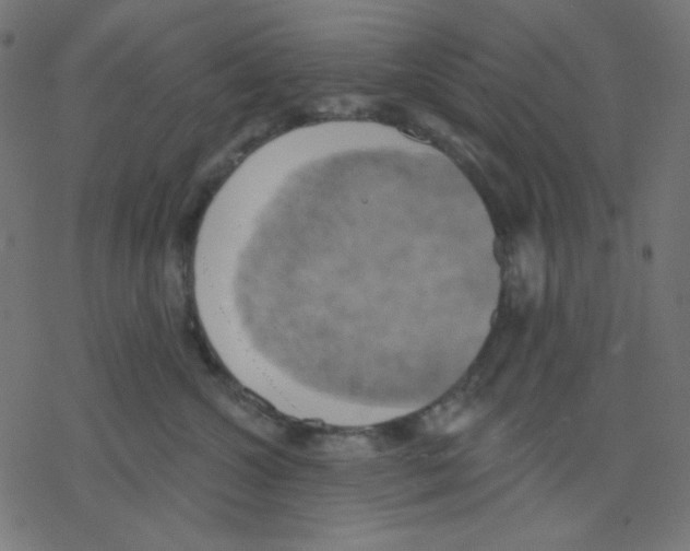 X0000078230572200612011543