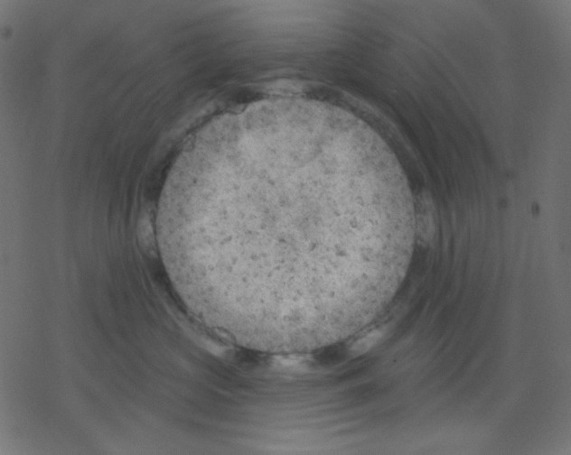 X0000078230573200612011543