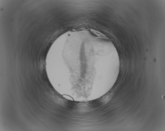 X0000078230574200612011543