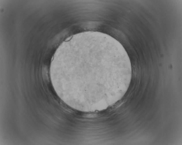 X0000078230575200612011543