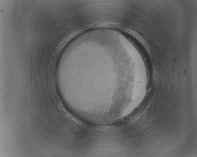 X0000078230577200612011542