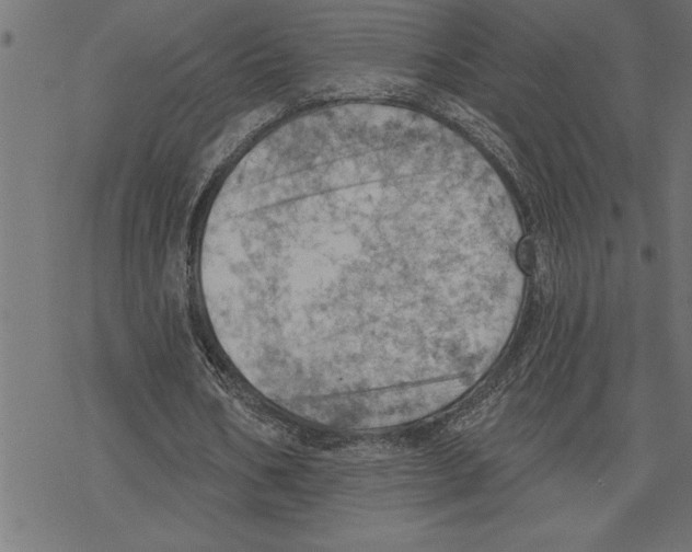 X0000078230578200612011542