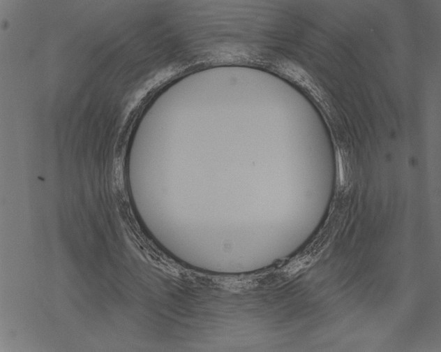 X0000078230579200612011542