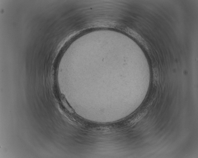 X0000078230580200612011542