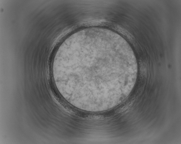 X0000078230582200612011542