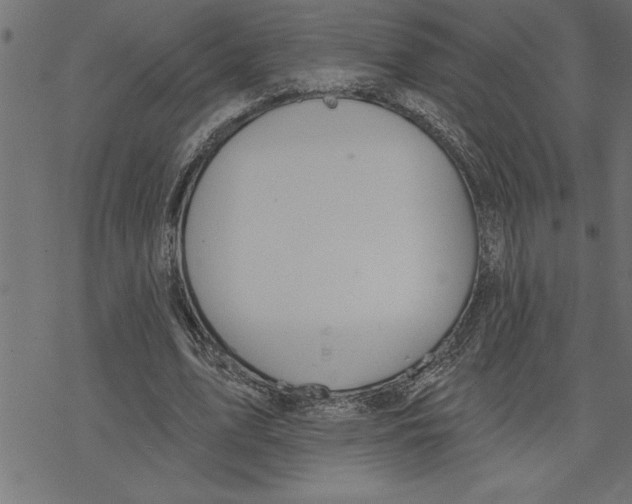 X0000078230583200612011542