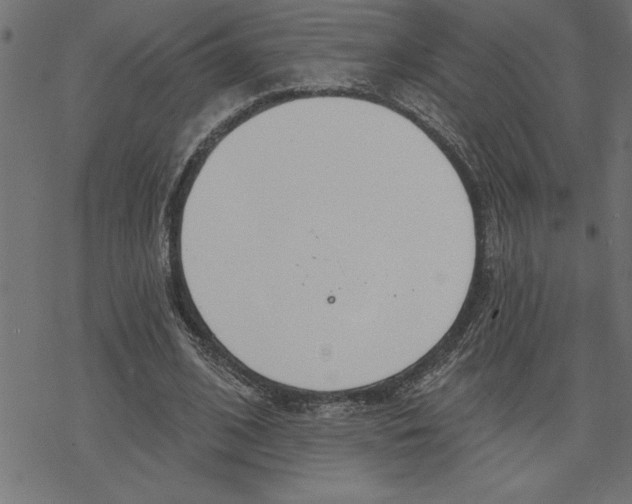 X0000078230584200612011542