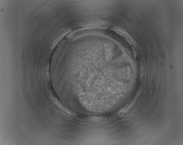 X0000078230585200612011542