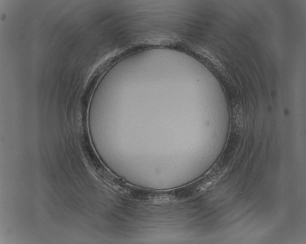 X0000078230587200612011542