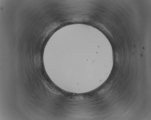 X0000078230588200612011542