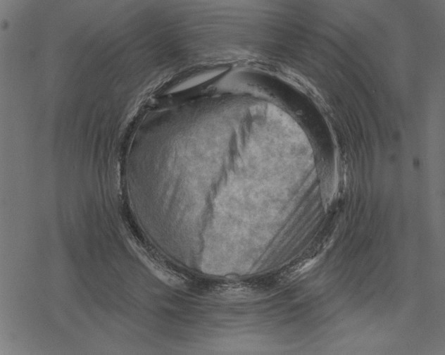 X0000078230589200612011542