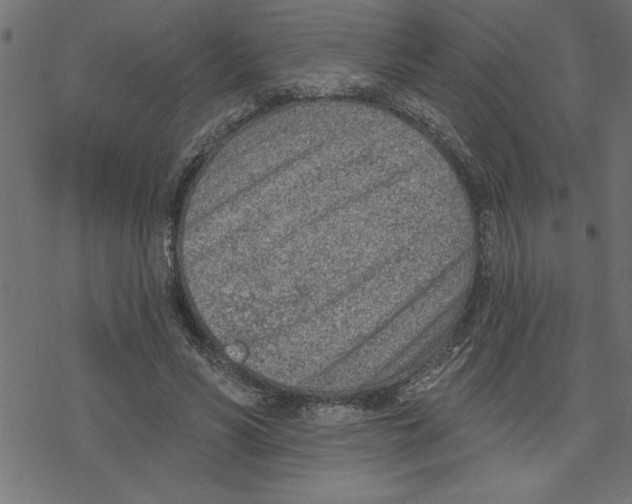 X0000078230590200612011542