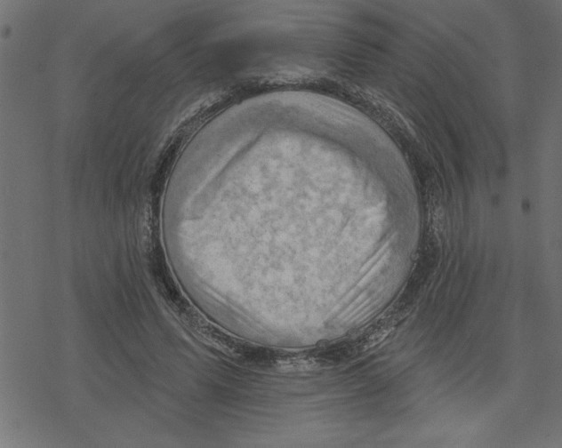 X0000078230591200612011542