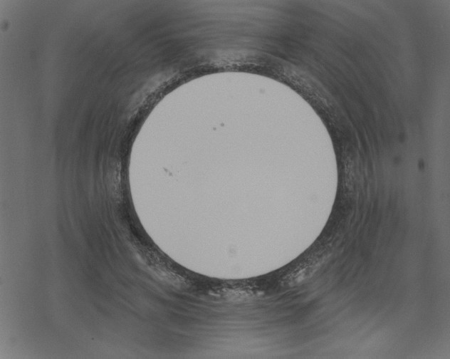 X0000078230592200612011542