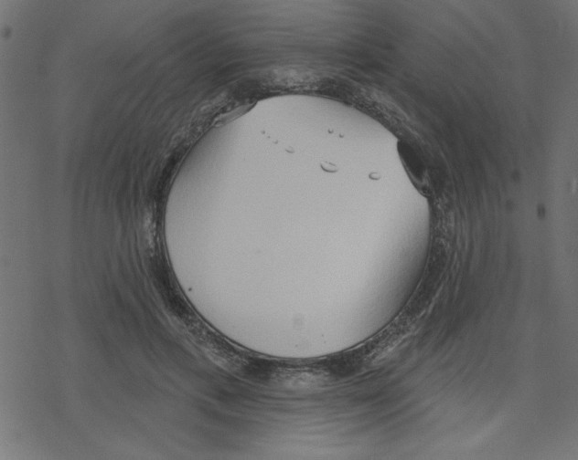 X0000078230597200612011542