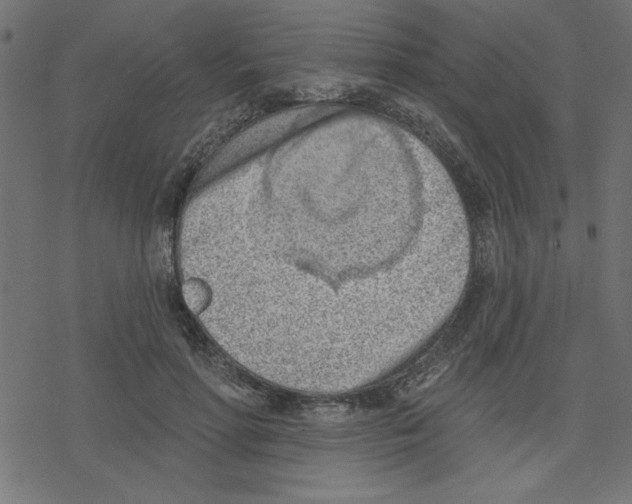 X0000078230598200612011542