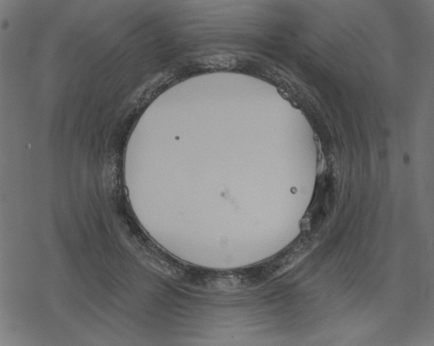 X0000078230600200612011541