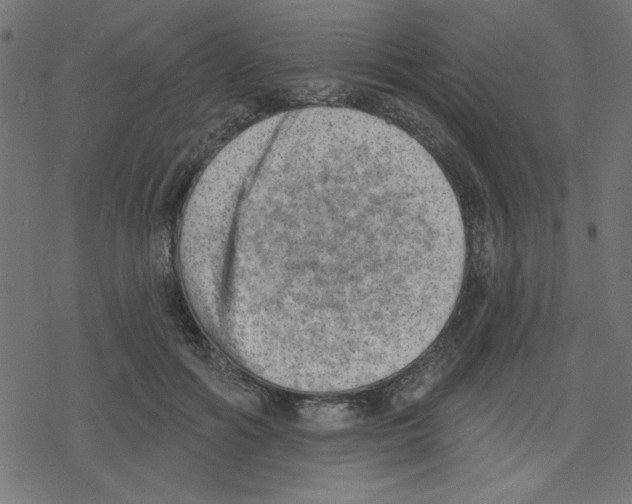 X0000078230602200612011541