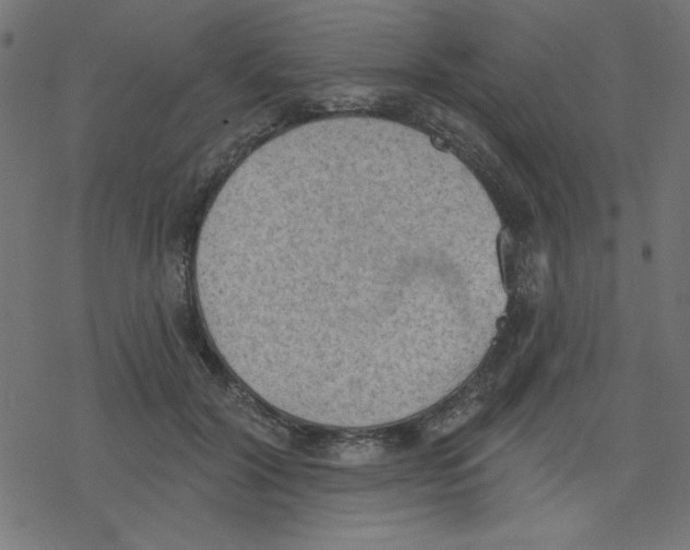 X0000078230604200612011541