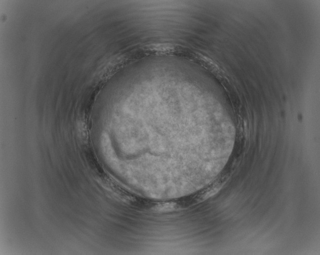 X0000078230609200612011541