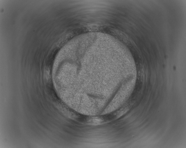 X0000078230610200612011541