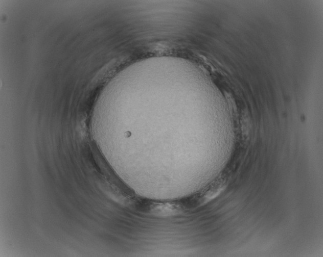 X0000078230611200612011541