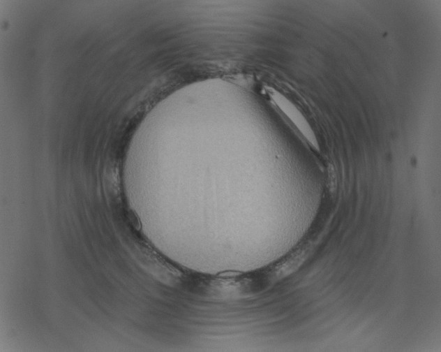 X0000078230613200612011541